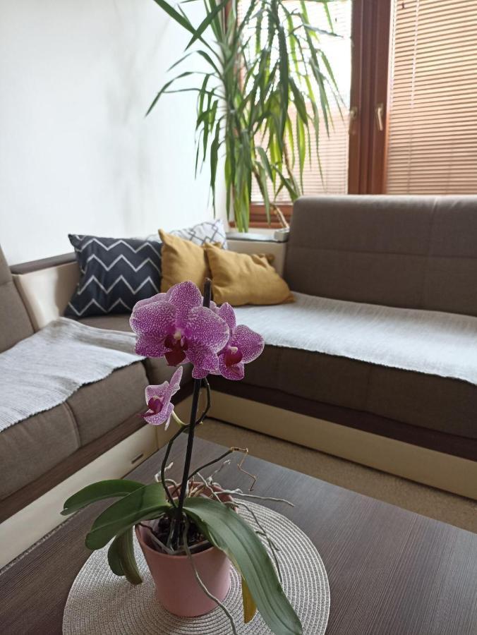 Apartment Bella Casa Free Parking 사라예보 외부 사진
